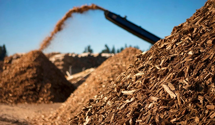Wood chip raw material feeding into piles for wood pellet production line