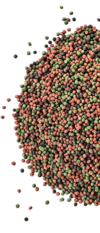 Colorful floating fish feed pellets produced by LUODATE fish feed production line