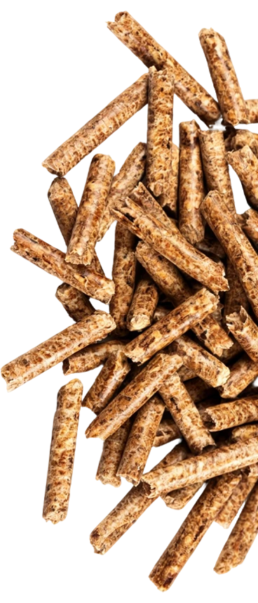 High-density wood pellets produced by LUODATE wood pellet production line