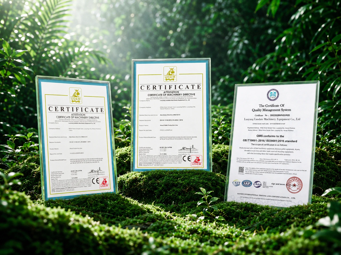 LUODATE Quality Certifications