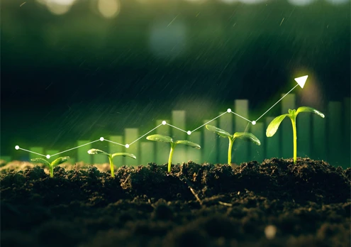 Global Biomass Business Expansion